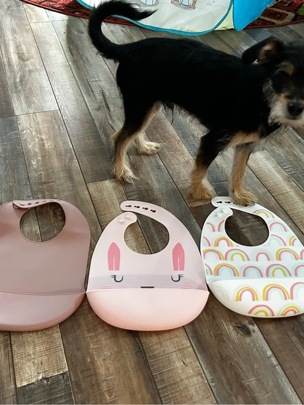 3-Pack Silicone Baby Bibs never used only washed